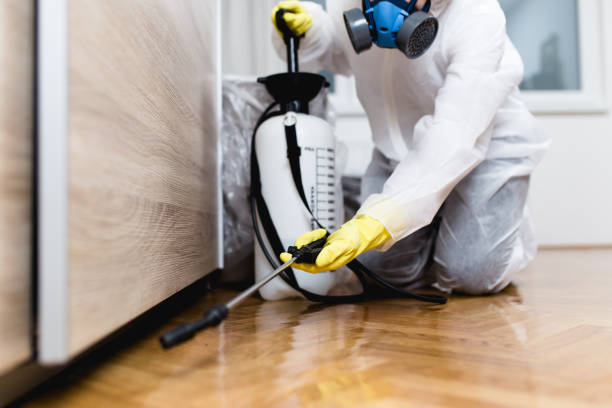 Best Pest Prevention Services  in Larkspur, CA